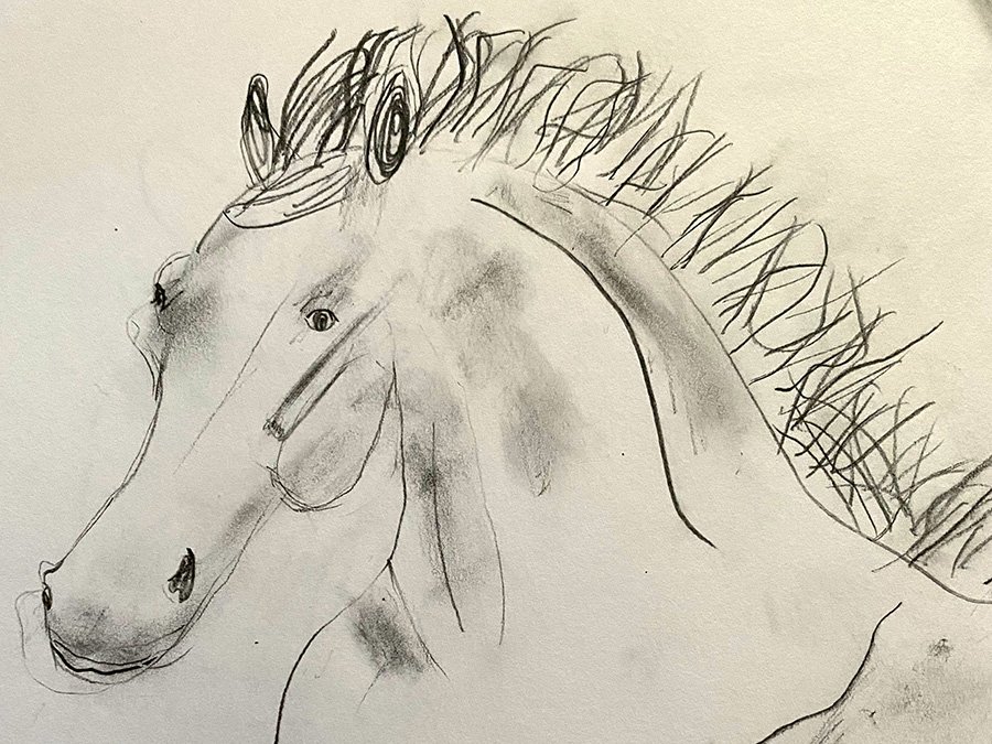 Feature artwork by Olivia Schubert